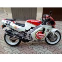 RGV 250 GAMMA 1991 - 1995 TEAM LUCKY STRIKE 500
